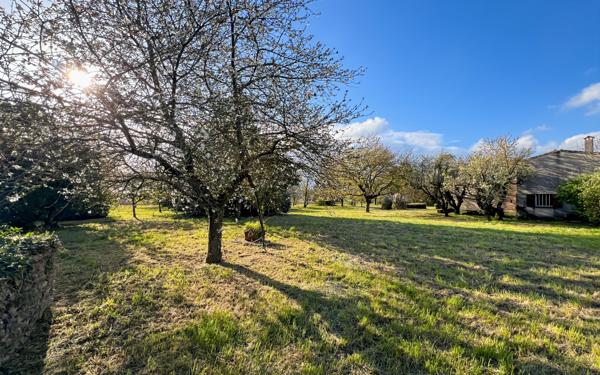 Maison à vendre    7 pièces • 180,58 m2 Livron-sur-Drôme