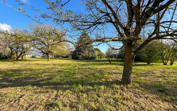 Maison à vendre    7 pièces • 180,58 m2 Livron-sur-Drôme