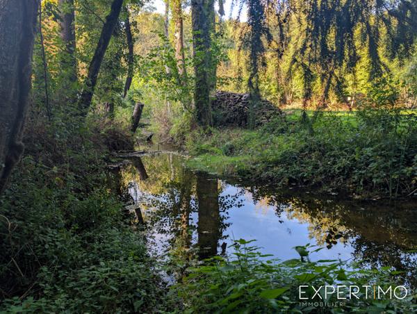 Commentry (03600) Ancien moulin et gîte à forte rentabilité sur 3,8 hectares