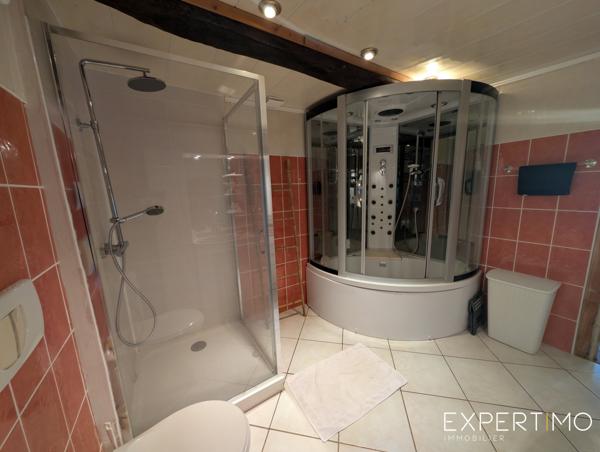 Commentry (03600) Ancien moulin et gîte à forte rentabilité sur 3,8 hectares