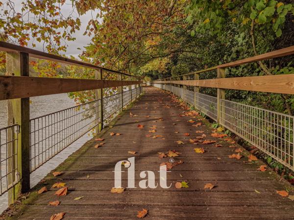 MAISONNETTE TYPE 2 / JARDIN / RENOVATION RECENTE