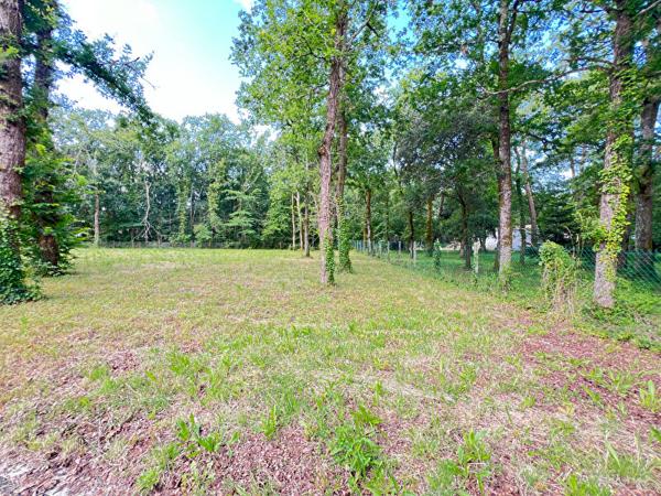 Terrain La Tremblade 1012 m2 | LA TREMBLADE IMMO