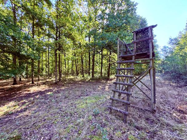 Territoire d'Exception à La Ferté Saint Aubin !