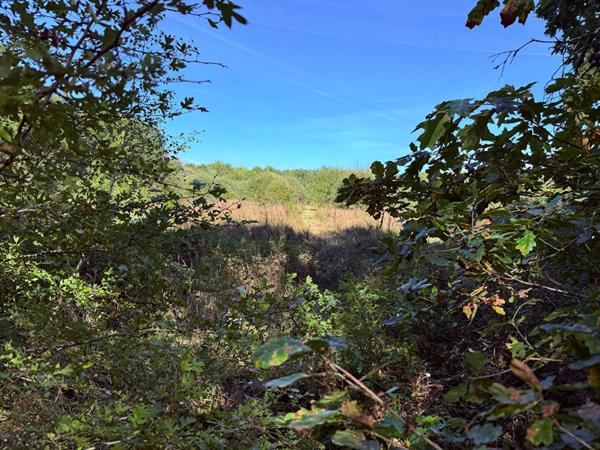 Territoire d'Exception à La Ferté Saint Aubin !