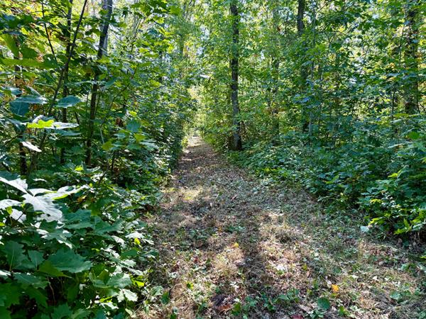 Territoire d'Exception à La Ferté Saint Aubin !