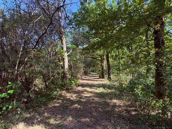 Territoire d'Exception à La Ferté Saint Aubin !