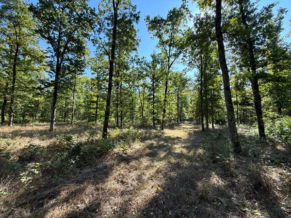 Territoire d'Exception à La Ferté Saint Aubin !