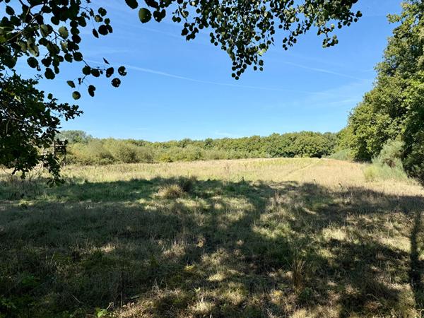 Territoire d'Exception à La Ferté Saint Aubin !