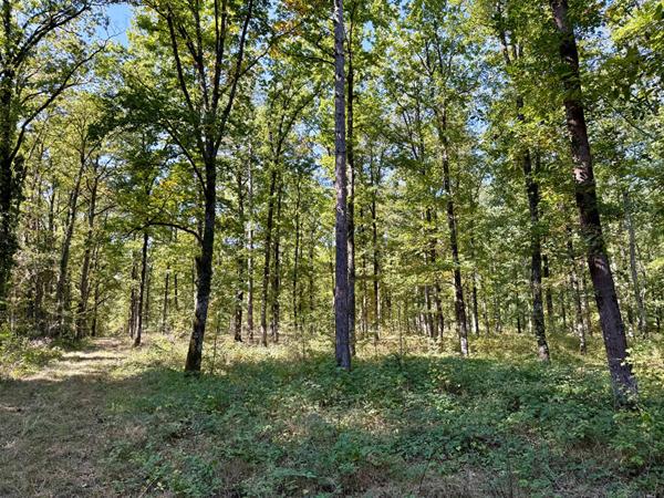 Territoire d'Exception à La Ferté Saint Aubin !