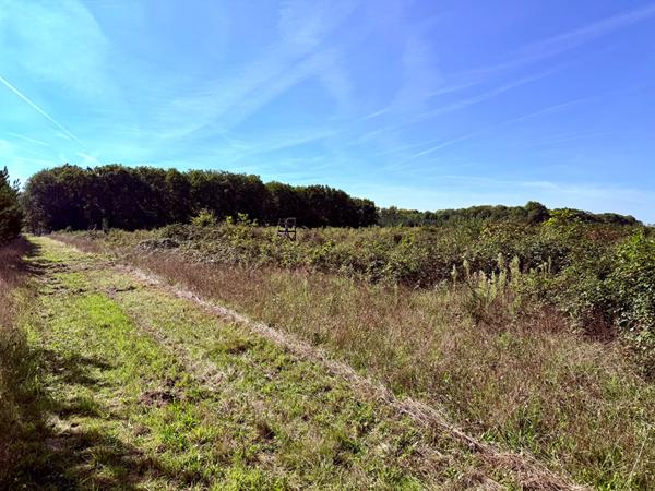 Territoire d'Exception à La Ferté Saint Aubin !