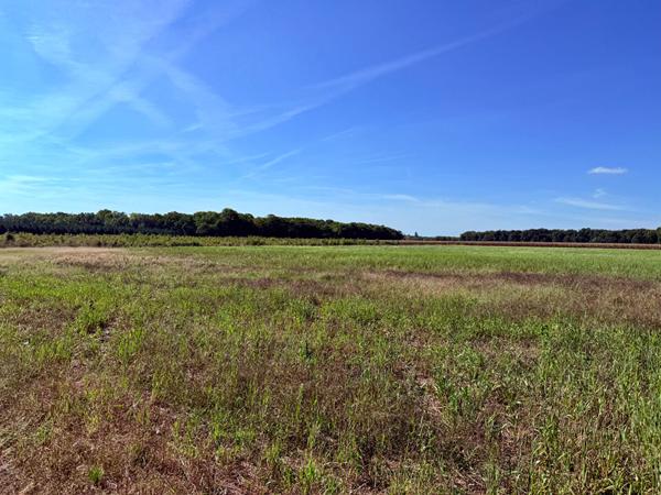 Territoire d'Exception à La Ferté Saint Aubin !
