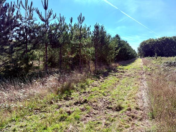 Territoire d'Exception à La Ferté Saint Aubin !