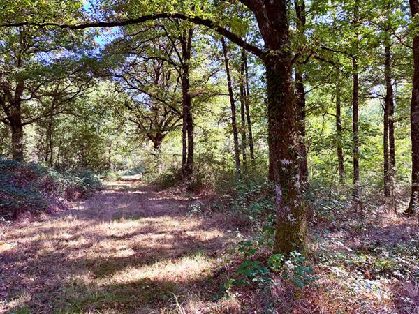 Territoire d'Exception à La Ferté Saint Aubin !