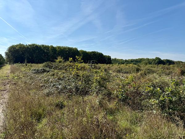 Territoire d'Exception à La Ferté Saint Aubin !