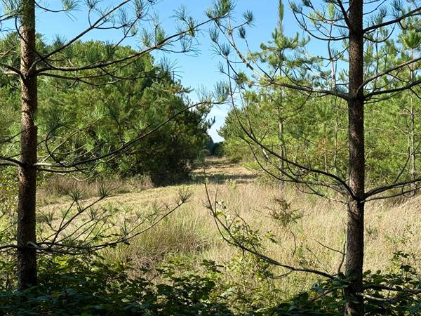 Territoire d'Exception à La Ferté Saint Aubin !