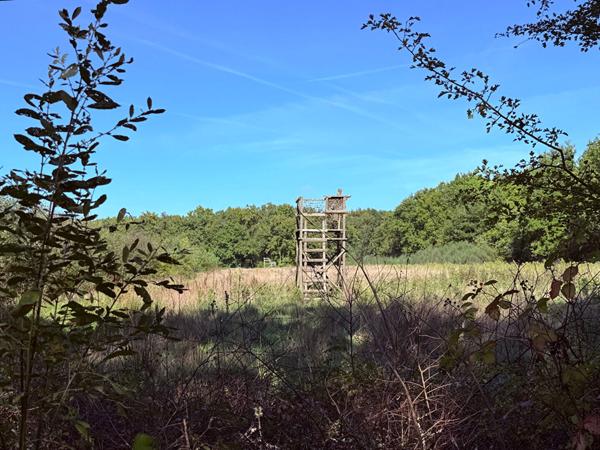 Territoire d'Exception à La Ferté Saint Aubin !
