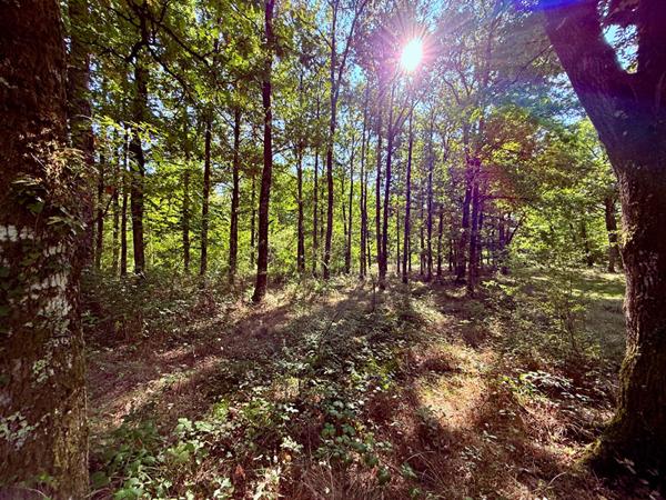 Territoire d'Exception à La Ferté Saint Aubin !