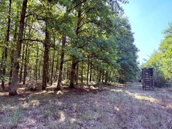 Territoire d'Exception à La Ferté Saint Aubin !