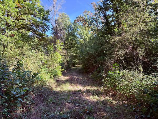 Territoire d'Exception à La Ferté Saint Aubin !