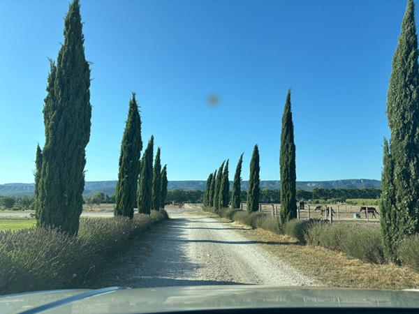 Domaine équestre! Mallemort