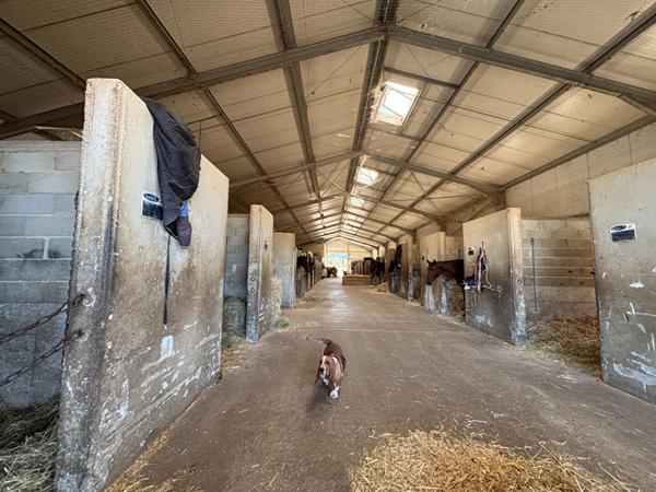 Domaine équestre! Mallemort