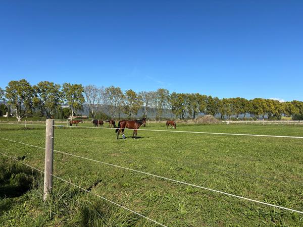 Domaine équestre! Mallemort