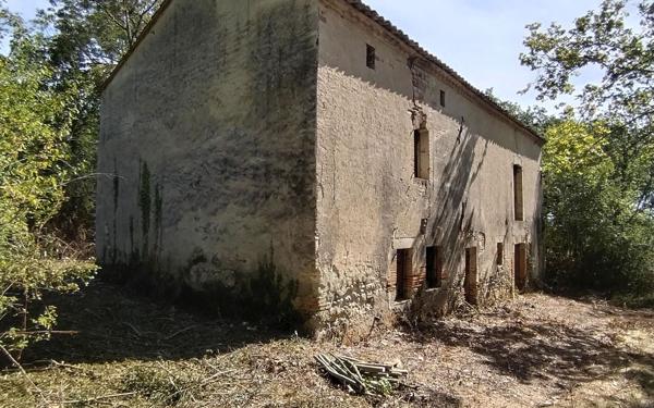 Maison à vendre    1 pièce •  Damiatte