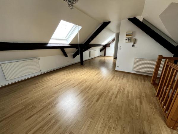 Appartement 50 m² Carrez  (80 m² au sol) - Grande pièce de vie