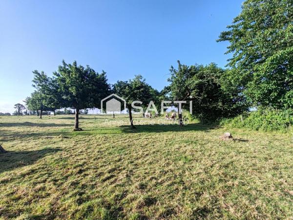 Maison+dépendances+champ 1 hectare- sans voisins