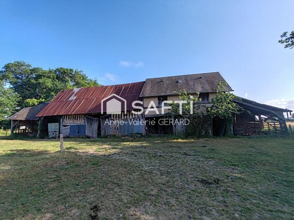 Maison+dépendances+champ 1 hectare- sans voisins