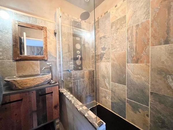 Maison Nouans Les Fontaines 12 pièce(s) 260 m2