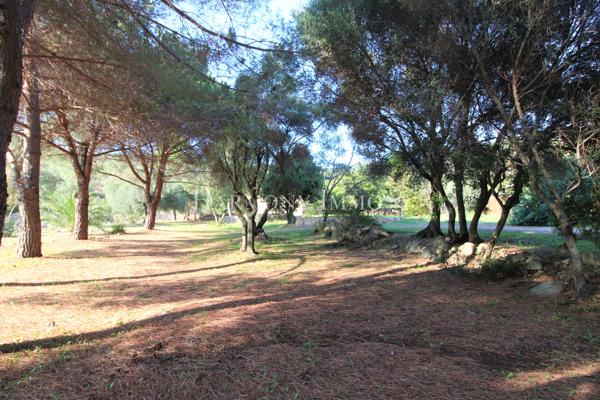 Propriété proche de la plage d'Arone