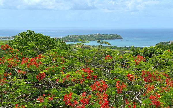 Maison à vendre    5 pièces •  Le Vauclin