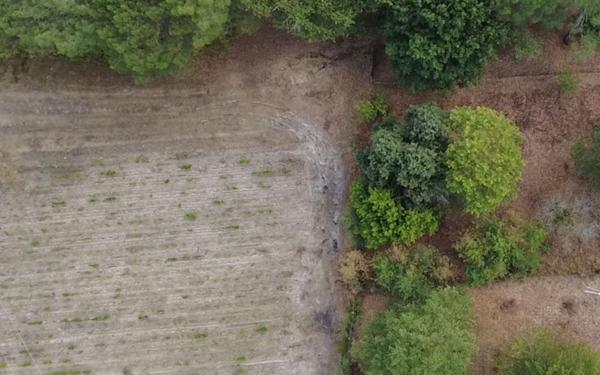 Terrain à vendre    Listrac-Médoc