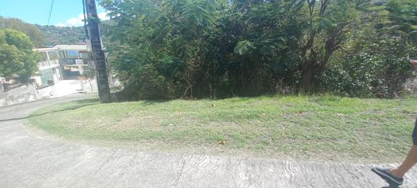 Bouillante (97125) Terrain constructible