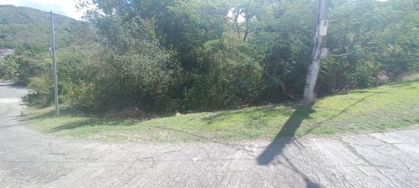 Bouillante (97125) Terrain constructible