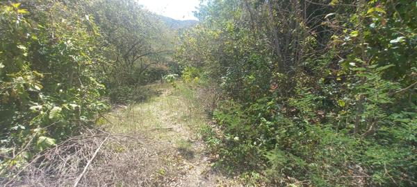 Bouillante (97125) Terrain constructible
