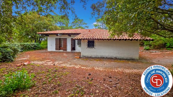 La Teste-de-Buch (33115) Villa de plain-pied avec 3 chambres, piscine et garage