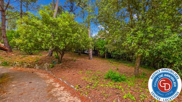 La Teste-de-Buch (33115) Villa de plain-pied avec 3 chambres, piscine et garage