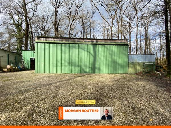 Maison à vendre 8 pièces NOYANT-VILLAGES (49)