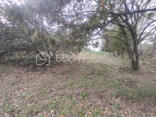 Terrain de 1 284 m²