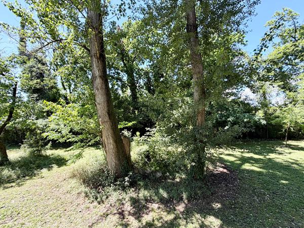 Appartement BRUGES 43.85 m²