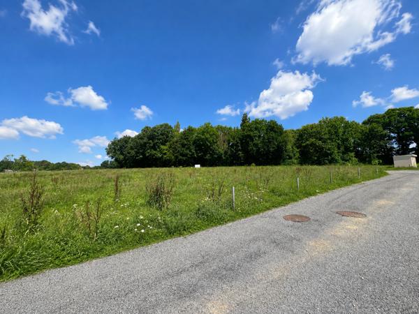 Terrain
        
        - 472 m² Exclusivité 49 900 €*