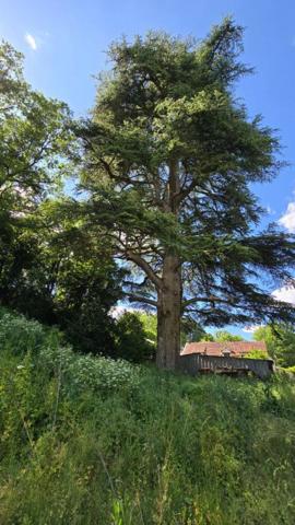 Terrain d'exception à Biard 2372 m2