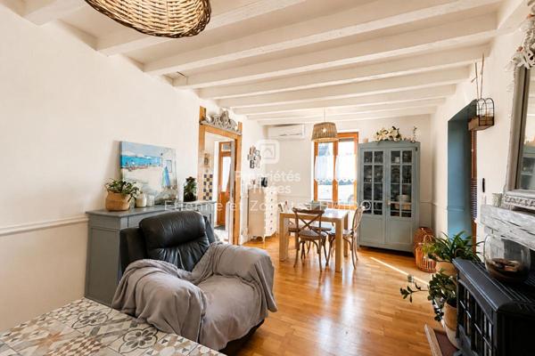 Maison de 67 m², 3 pièces, une dépendance, serre et extérieurs - Vatan