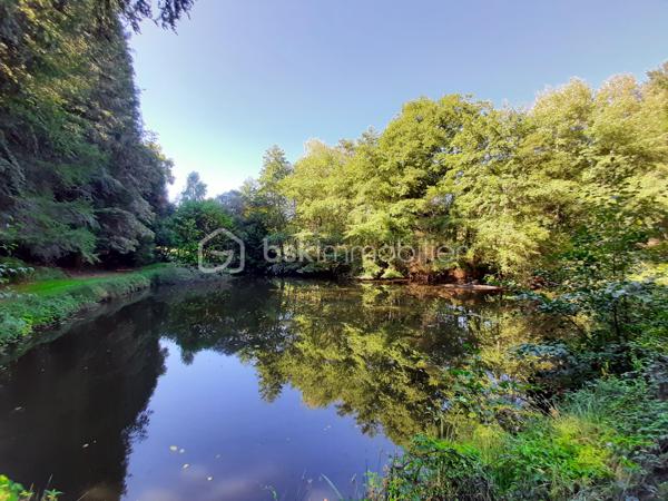 Terrain de loisirs de 9 773 m²