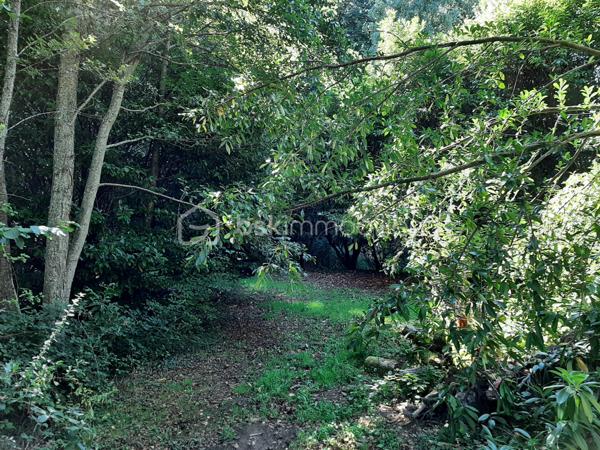 Terrain de loisirs de 9 773 m²