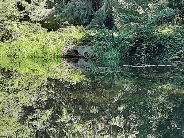 Terrain de loisirs de 9 773 m²