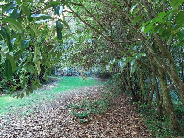 Terrain de loisirs de 9 773 m²