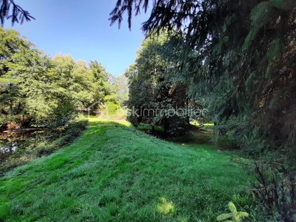 Terrain de loisirs de 9 773 m²
